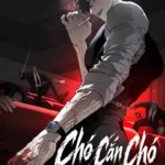 Chó Cắn Chó