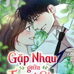 Gặp Nhau Giữa Trung Gian