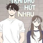 Trái Dấu Hút Nhau